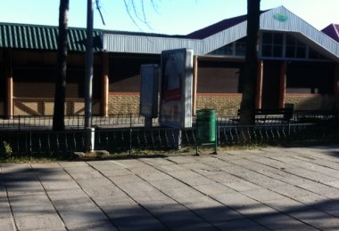 Павильон Папайа